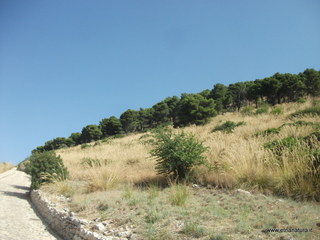 Monte Iudica